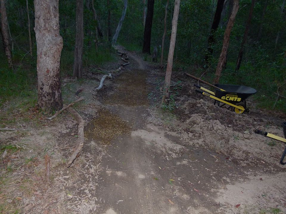P1160357.jpg